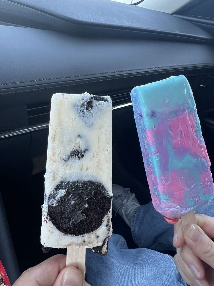 Artisanal Paletas